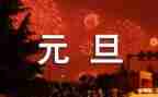 2024元旦总结报告5篇