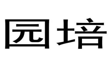 2024幼儿园培训计划最新7篇