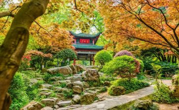 爬岳麓山心得体会5篇
