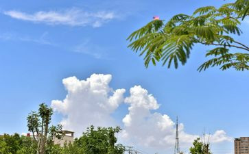 云学习活动总结8篇
