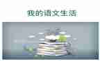 我的我的语文老师作文6篇