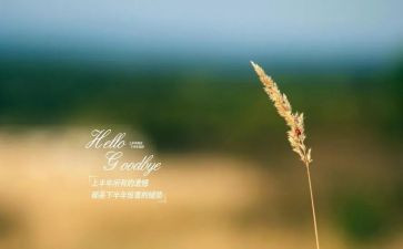 我与2023说再见作文优秀5篇