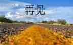 再见幼儿园大班教案6篇