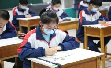 在校期个人总结5篇