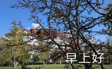 早教61活动策划7篇