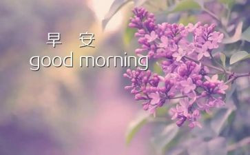 幼儿早期教育心得体会6篇