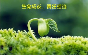 关于责任的心得体会8篇