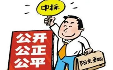 招标个人总结工作总结6篇