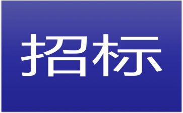 招标师的个人总结7篇