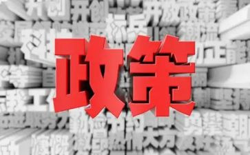 双减政策心得范文6篇