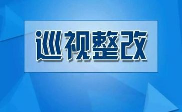 写整改报告模板7篇