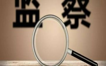 巡视整改对照材料模板7篇