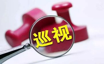 审计发现问题整改报告6篇