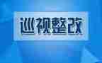 检查卫生整改报告6篇