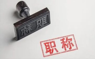 正高级教师总结参考6篇