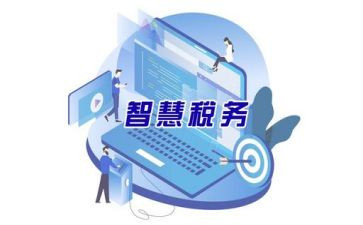 征管工作总结8篇