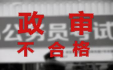 政审时个人总结参考5篇
