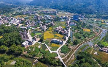 乡村振兴调查报告800模板5篇