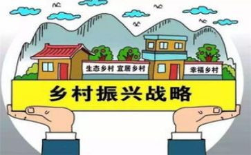 谈乡村振兴的心得体会参考5篇