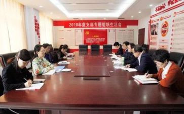 党支部年度报告总结6篇