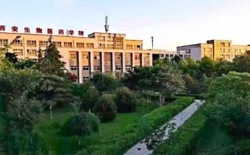 职高二学期总结优质7篇
