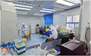 质量报告年度述职报告7篇