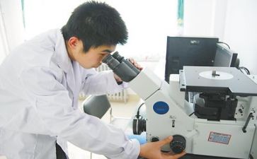 质量科工作个人总结推荐8篇