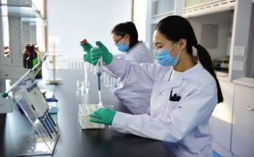 质量管理工作总结模板5篇