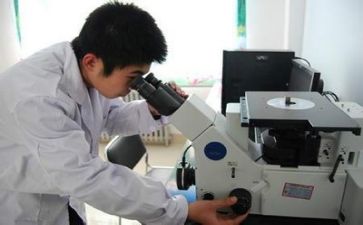 2023年质量个人总结精选5篇