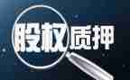 质押合同模板7篇