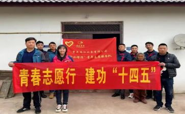 文化志愿者活动总结6篇