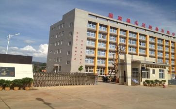 职中学生学期总结5篇