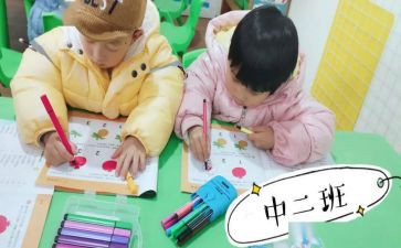 幼儿园总结中班个人总结优质7篇