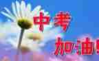 中考作文恒优秀范文6篇