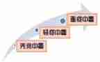 初中暑假社会实践总结6篇