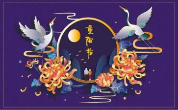 2024年重阳节活动方案策划7篇