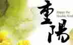 2024年重阳节活动方案策划参考5篇