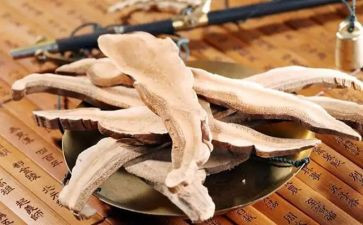 中药师个人总结范文5篇