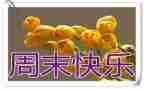 英语我的周末作文7篇