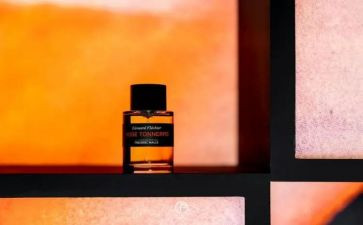 《主角》作文优质5篇