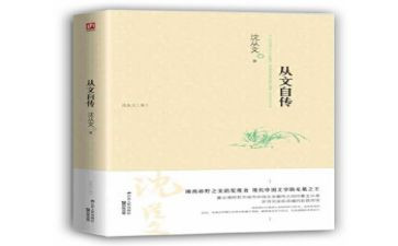 我的自传600字作文8篇