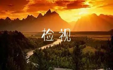 校园自检自查报告8篇