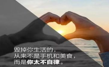 个人廉洁自律体会心得体会5篇