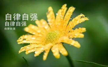 吾辈当自强演讲稿5篇