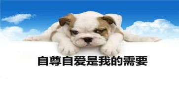 关于自尊的作文8篇