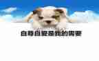 关于自尊的作文8篇