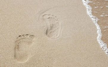 春天的足迹作文600字8篇