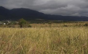 个人门面房屋租赁合同8篇