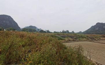 租上租租赁合同参考8篇