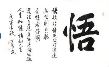 我的座右铭作文800字5篇